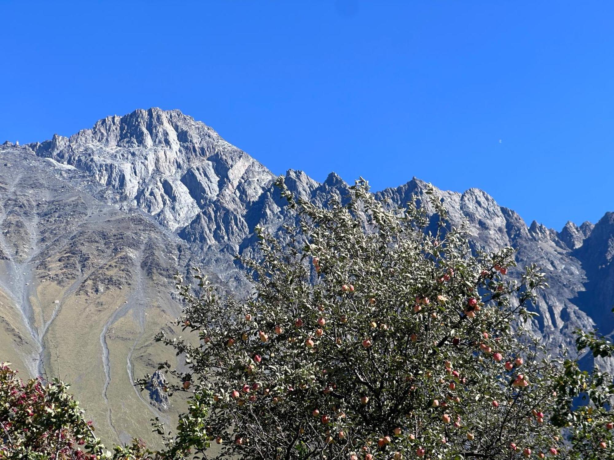 Hotel Mountime Kazbegi Kültér fotó